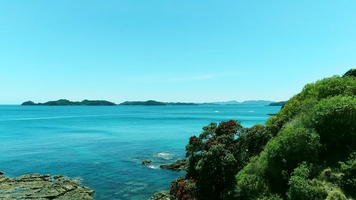 High-speed jet ski tour passing New Zealand scenery